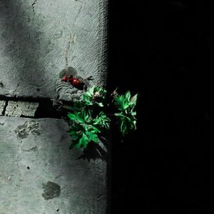 啊灬啊别停灬用力小建
