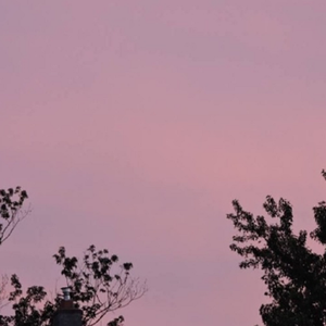 啊灬啊别停灬用力小建
