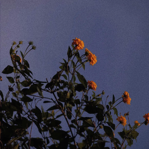 啊灬啊别停灬用力小建
